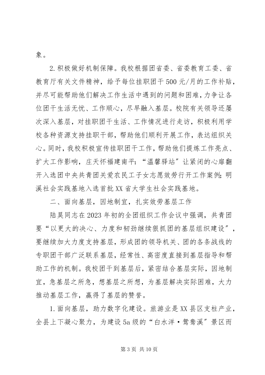 2023年校选派团干挂职县级团委工作综述.docx_第3页