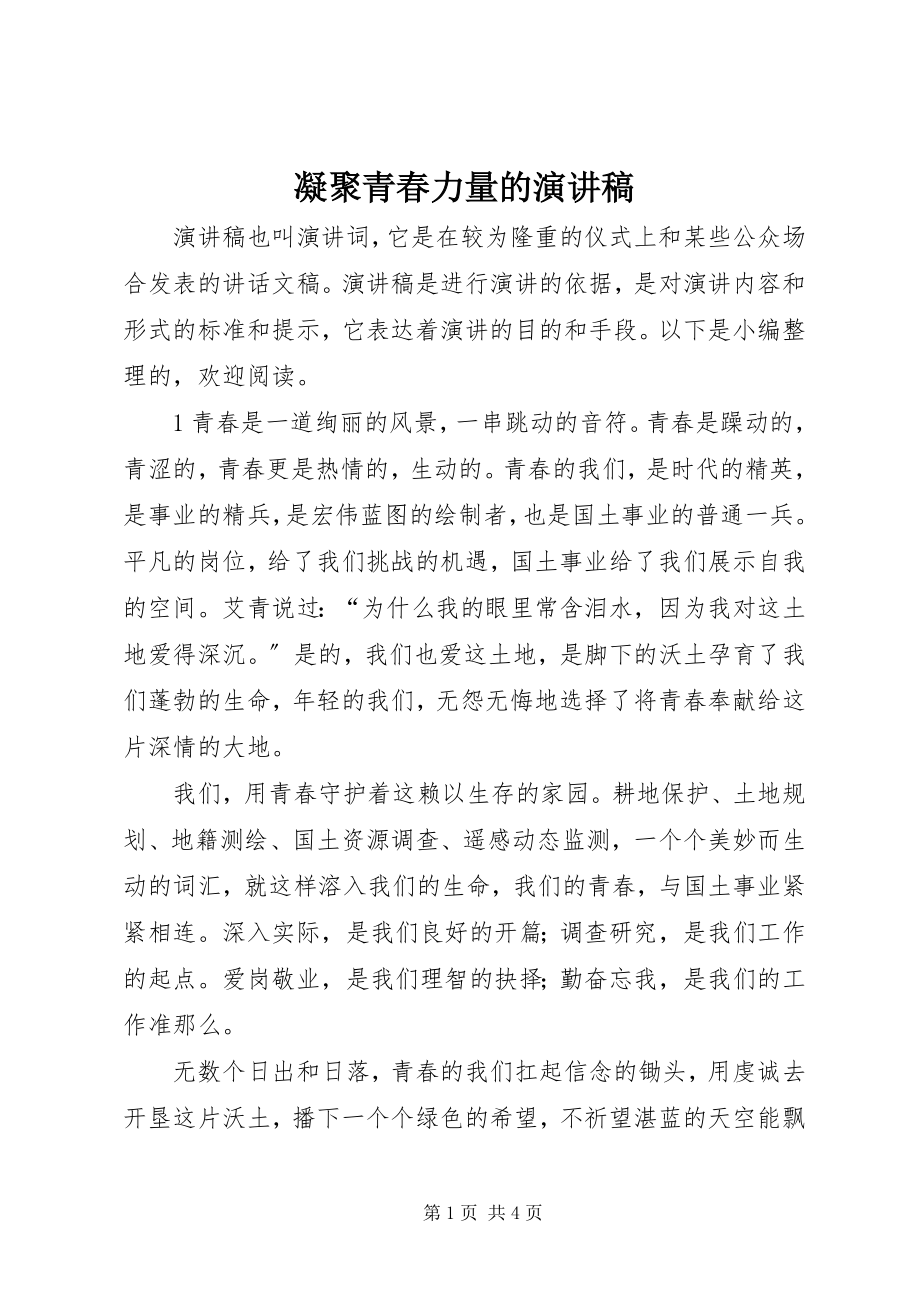 2023年凝聚青春力量的演讲稿.docx_第1页