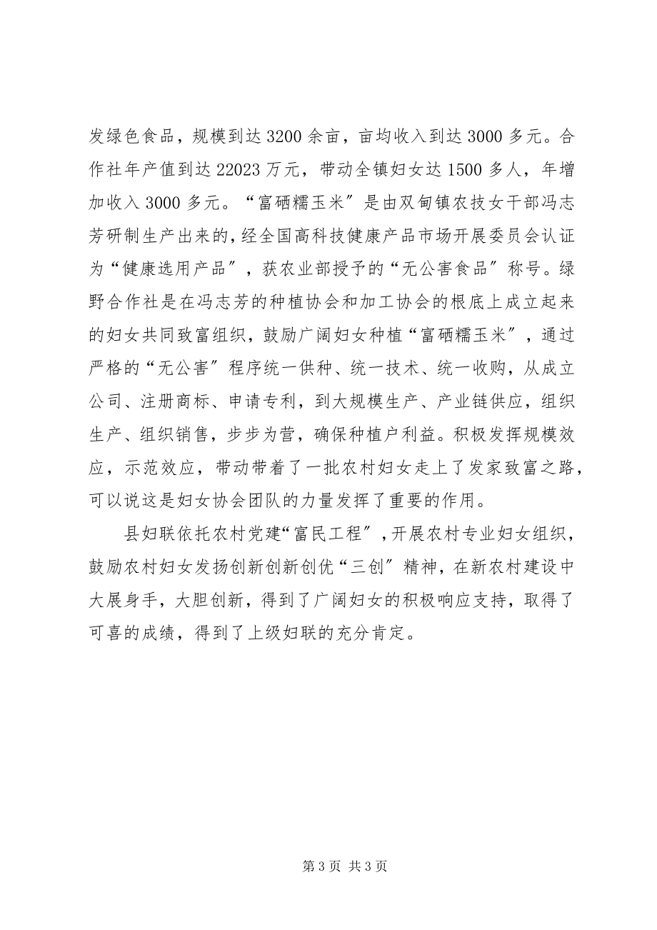 2023年县妇联创新工作交流材料.docx_第3页