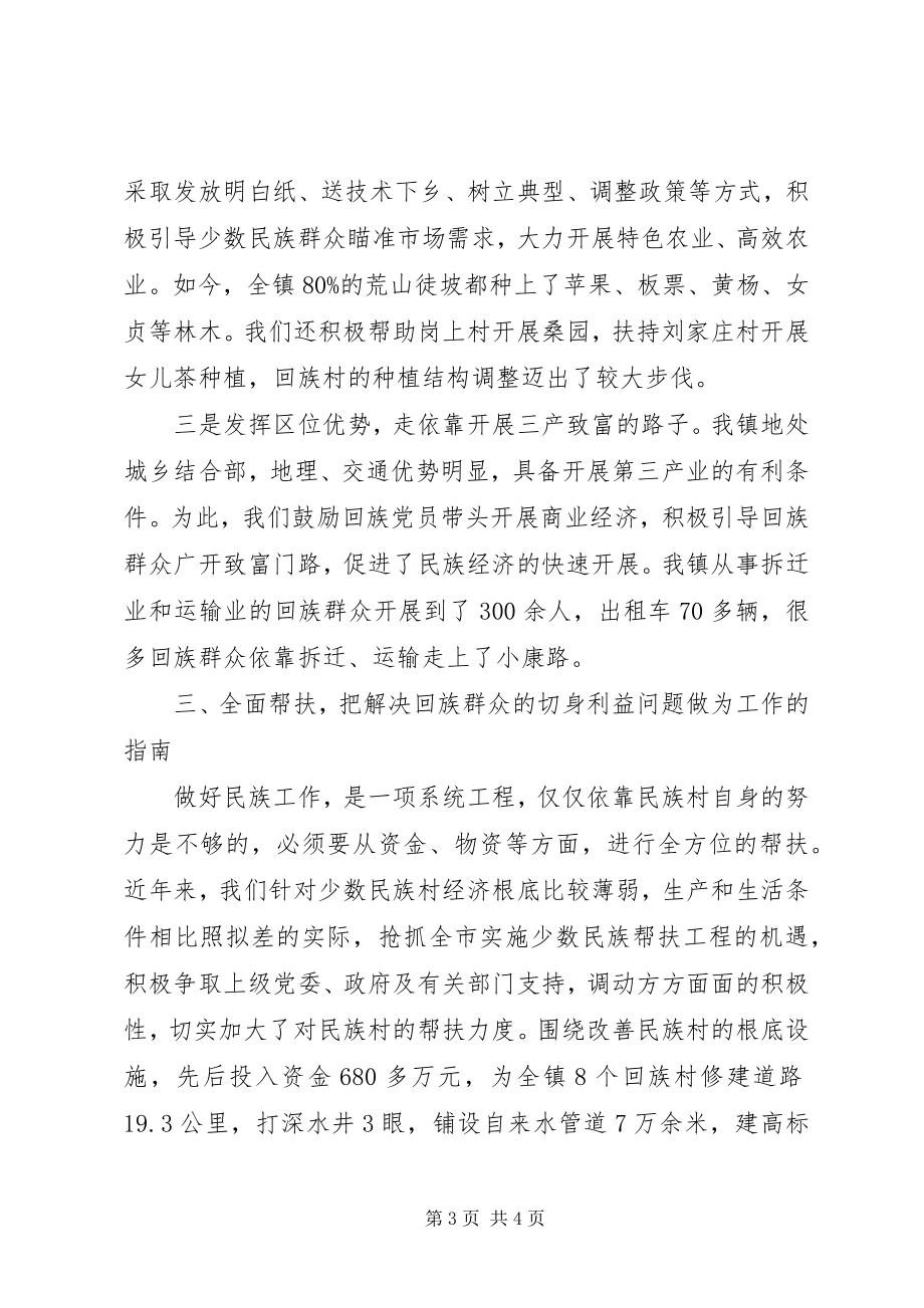 2023年民族工作典型材料.docx_第3页