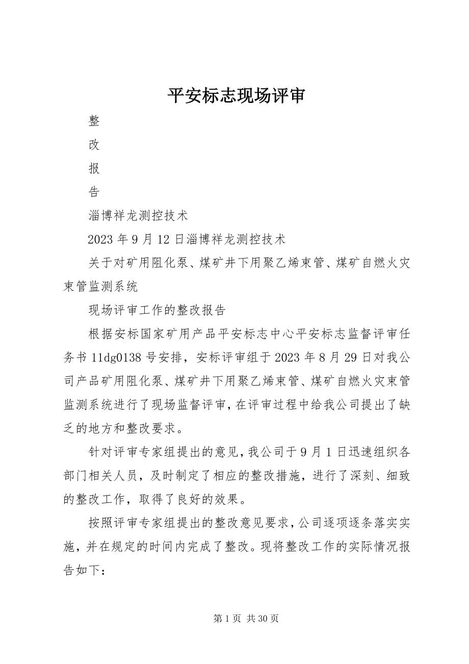 2023年安全标志现场评审新编.docx_第1页