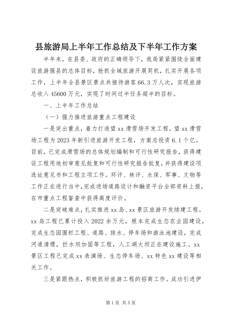 2023年县旅游局上半年工作总结及下半年工作计划.docx_第1页