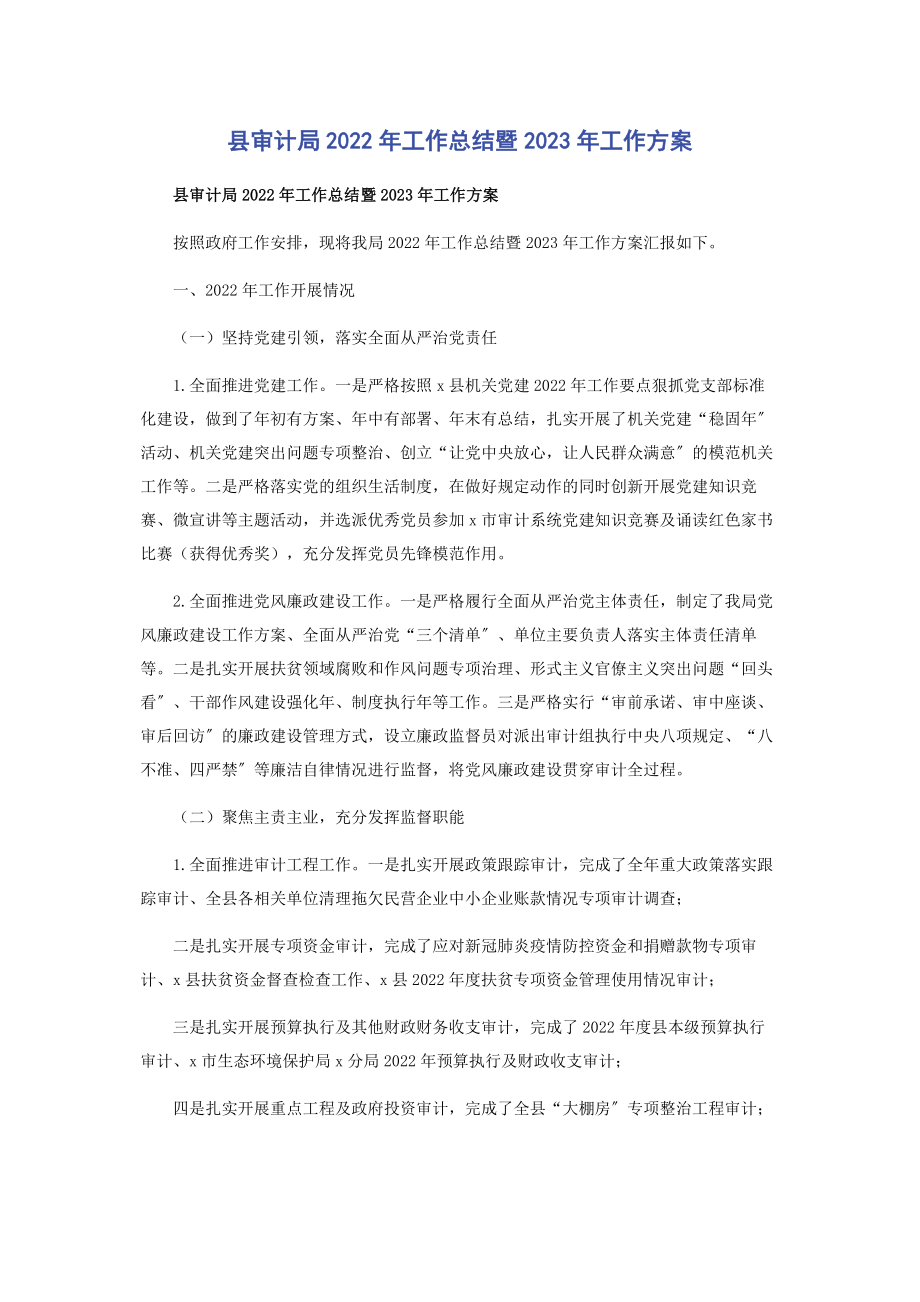 2023年县审计局工作总结暨工作计划.docx_第1页