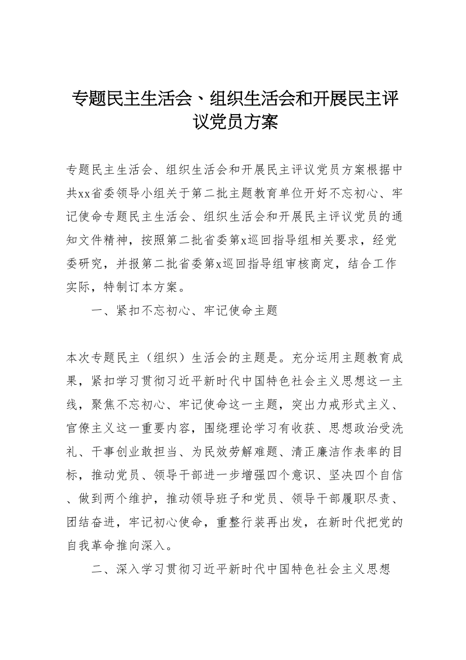 2023年专题民主生活会组织生活会和开展民主评议党员方案 .doc_第1页