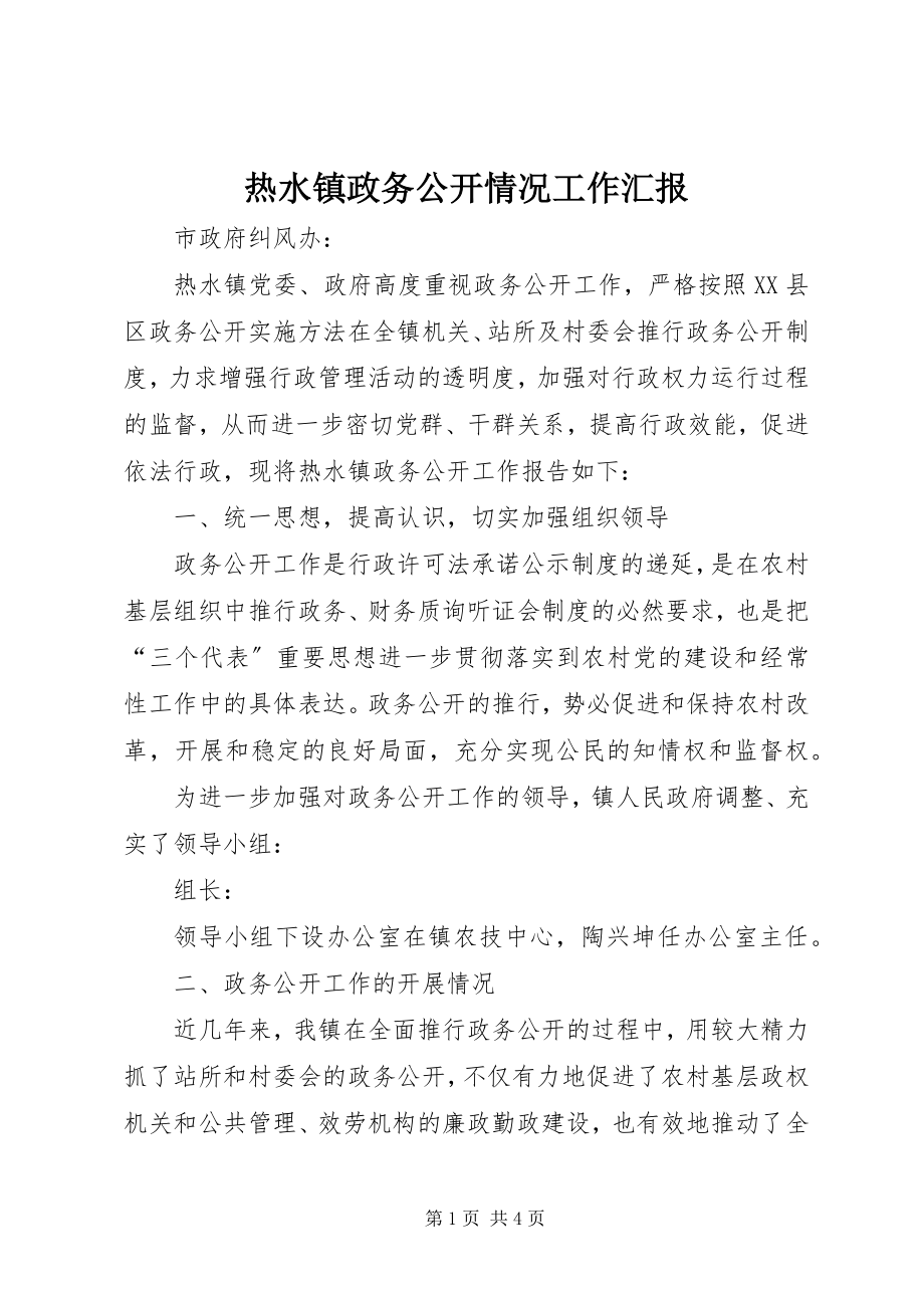 2023年热水镇政务公开情况工作汇报.docx_第1页