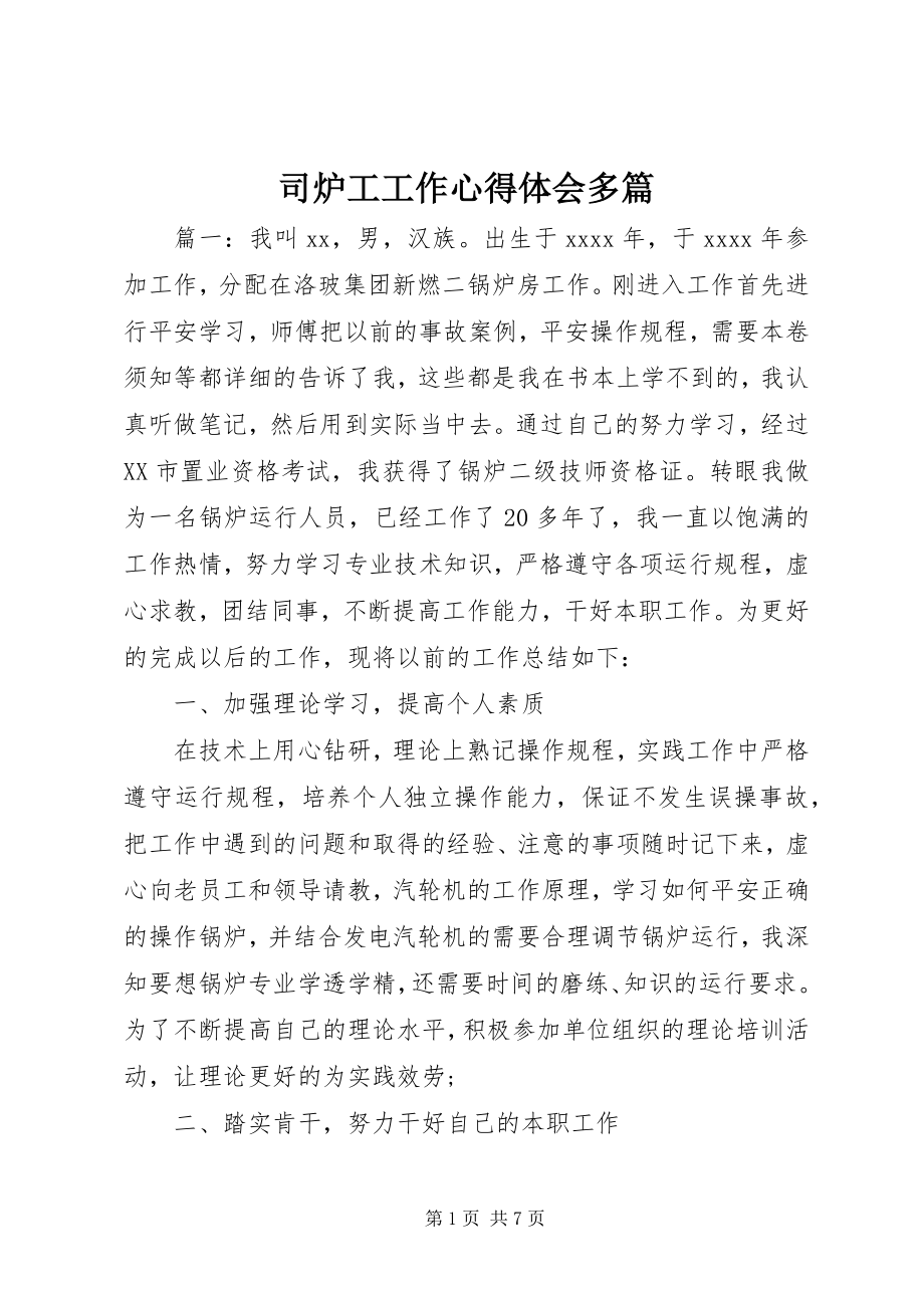 2023年司炉工工作心得体会多篇.docx_第1页