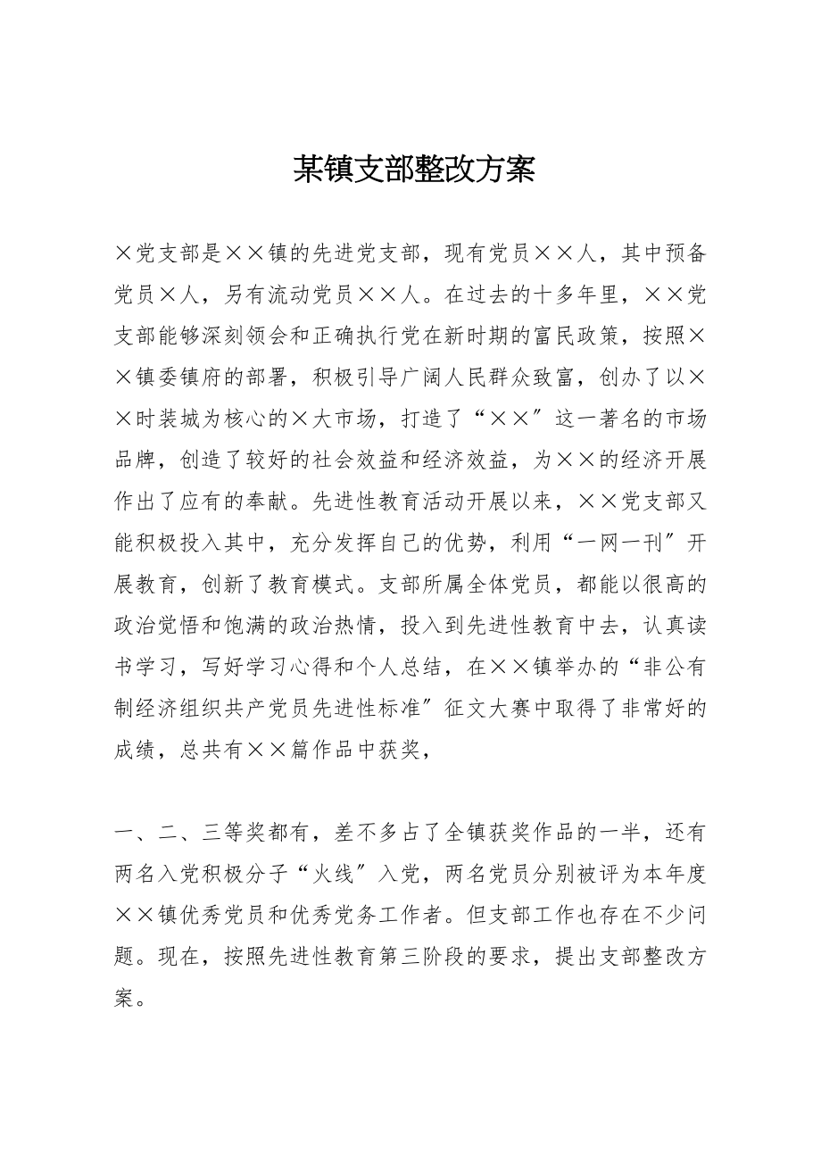 2023年某镇支部整改方案.doc_第1页