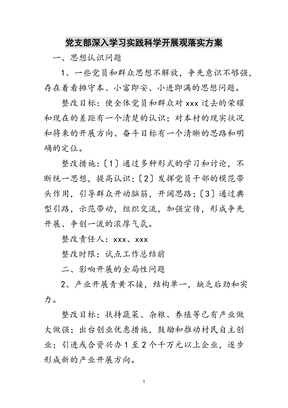 2023年党支部深入学习实践科学发展观落实方案范文.doc_第1页