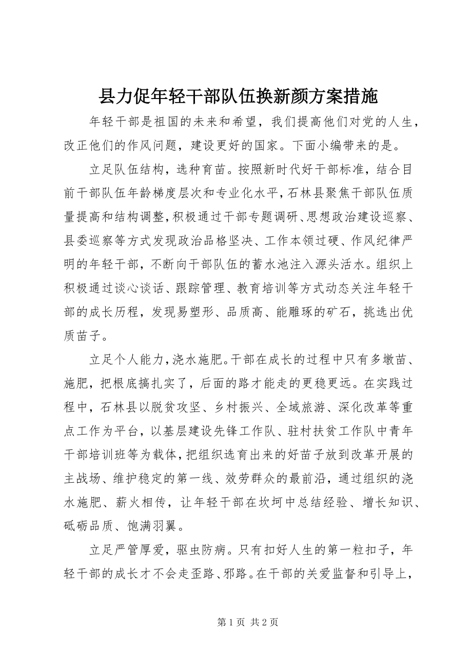 2023年县力促年轻干部队伍换新颜方案措施.docx_第1页