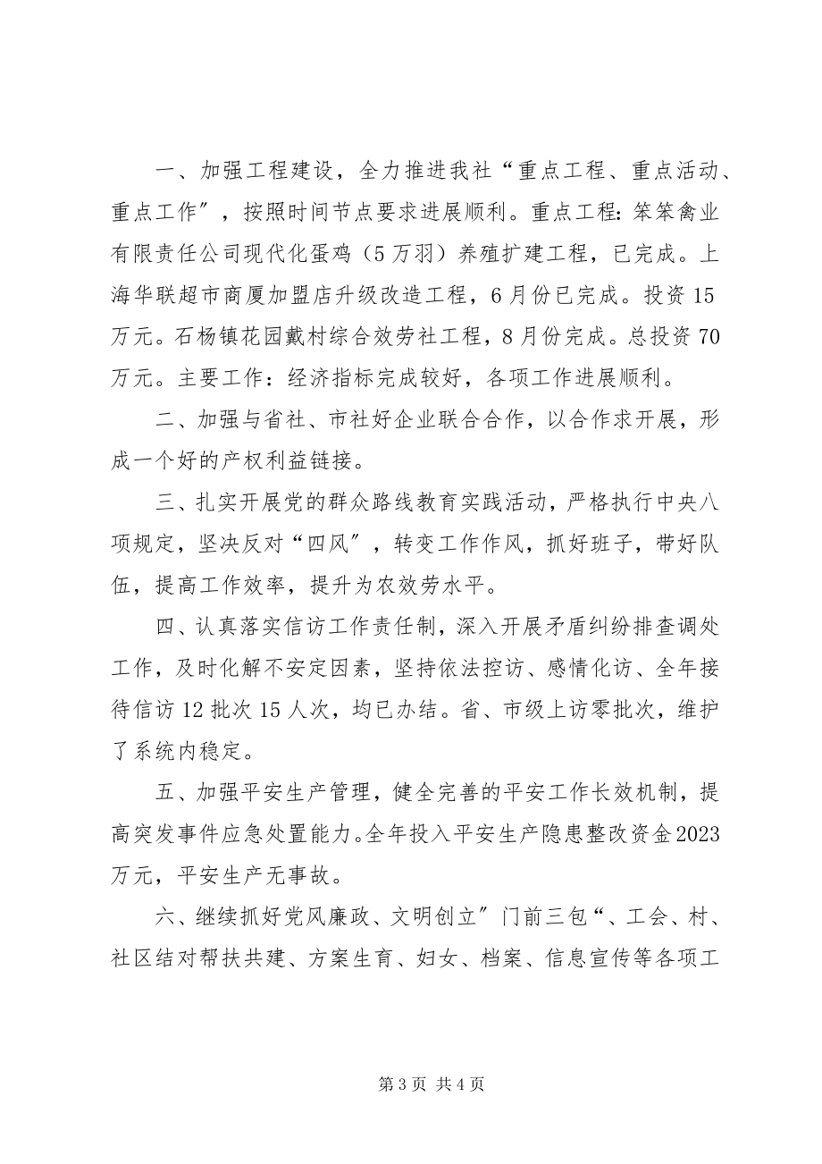 2023年供销社目标管理工作总结.docx_第3页