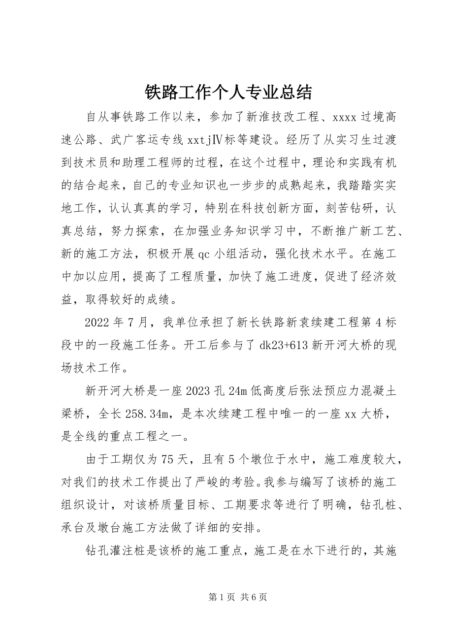 2023年铁路工作个人专业总结.docx_第1页