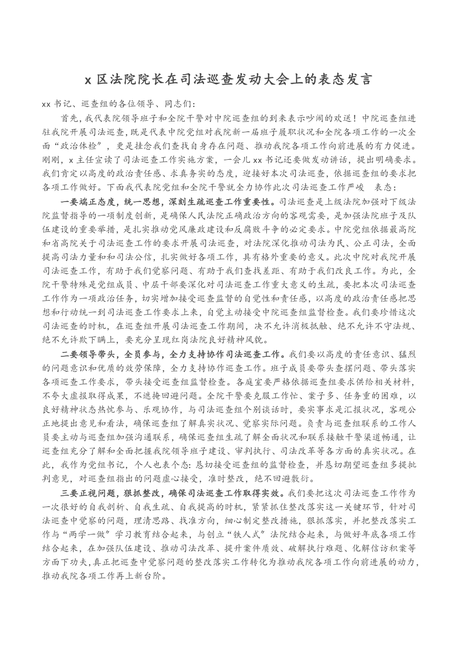 2023年X区法院院长在司法巡查动员大会上的表态发言.doc_第1页