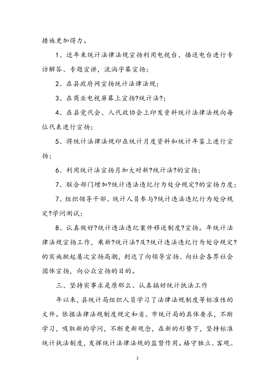 2023年统计局执法工作小结提纲.docx_第2页