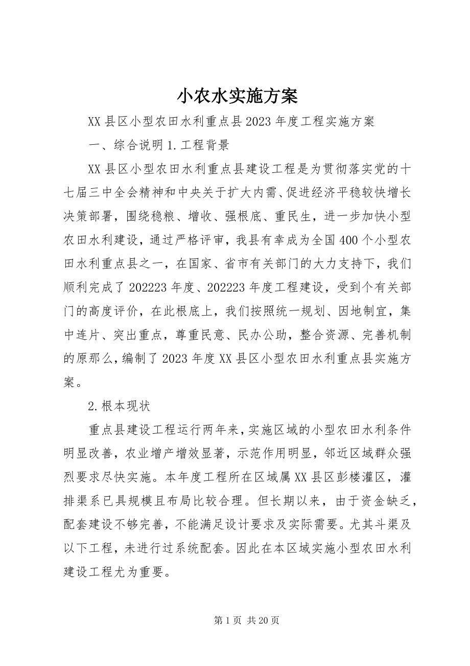 2023年小农水实施方案.docx_第1页