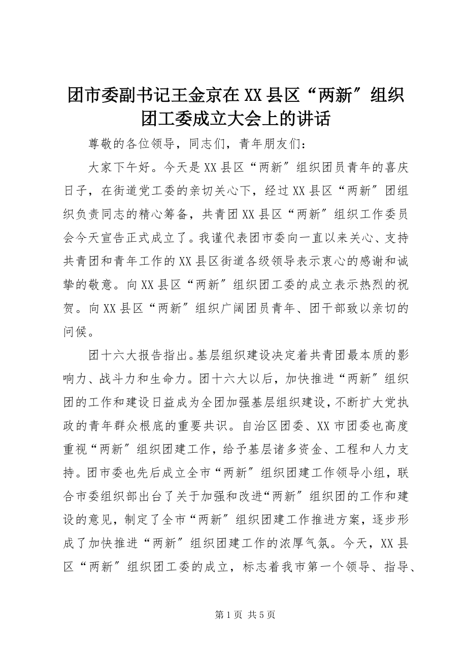 2023年团市委副书记王金京在XX县区“两新”组织团工委成立大会上的致辞.docx_第1页