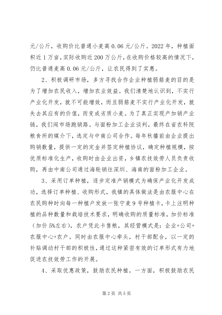 2023年发展弱筋麦产业促进农业增收增效2.docx_第2页