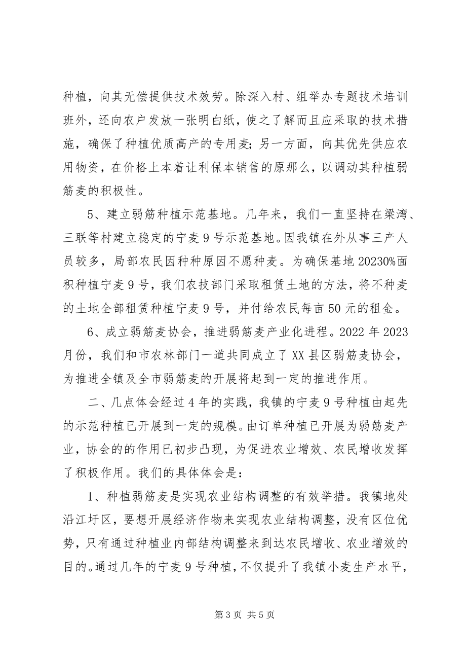 2023年发展弱筋麦产业促进农业增收增效2.docx_第3页