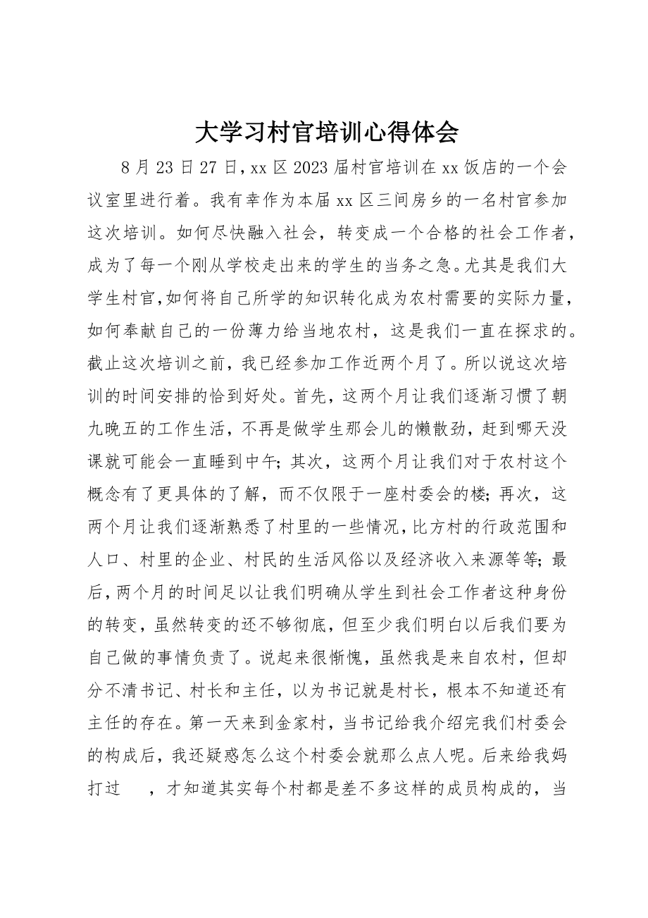 2023年大学习村官培训心得体会.docx_第1页