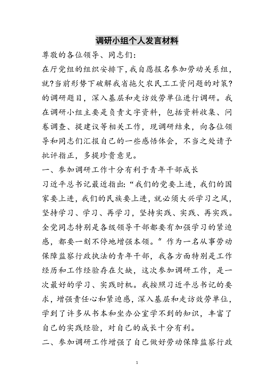 2023年调研小组个人发言材料范文.doc_第1页