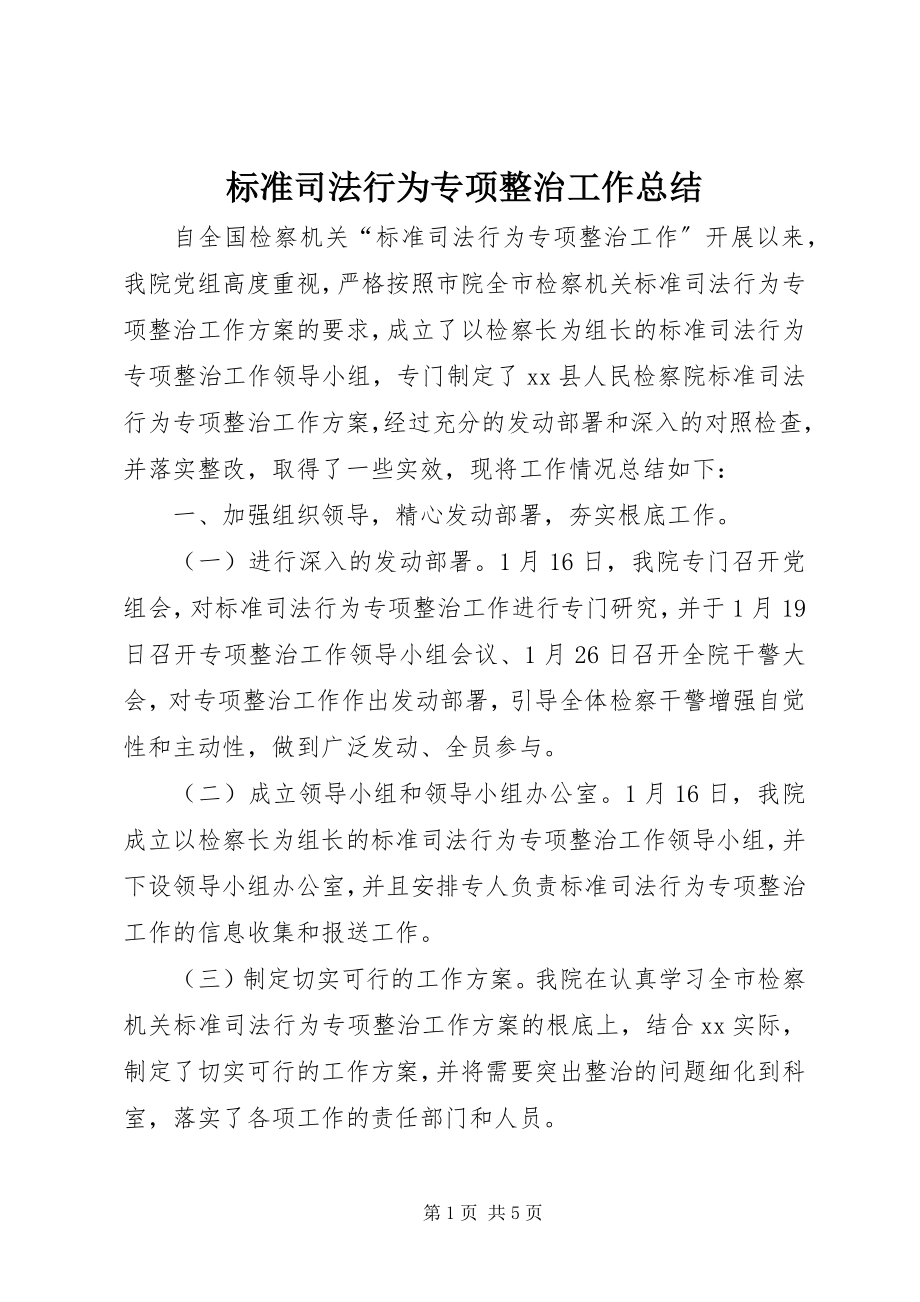 2023年规范司法行为专项整治工作总结.docx_第1页