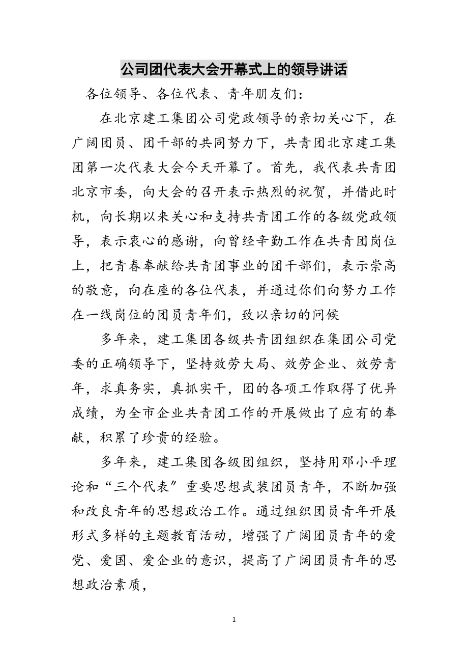 2023年公司团代表大会开幕式上的领导讲话范文.doc_第1页