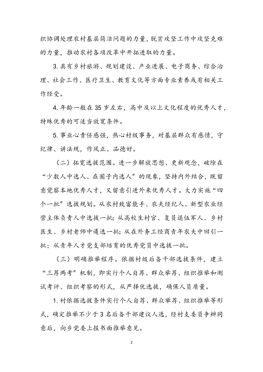 2023年后备干部培养计划和措施.docx_第2页