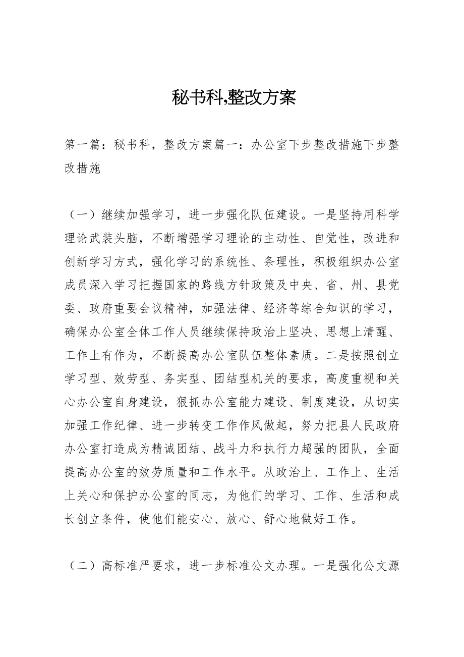 2023年秘书科,整改方案.doc_第1页