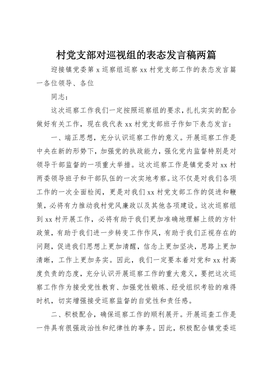 2023年村党支部对巡视组的表态讲话稿两篇新编.docx_第1页