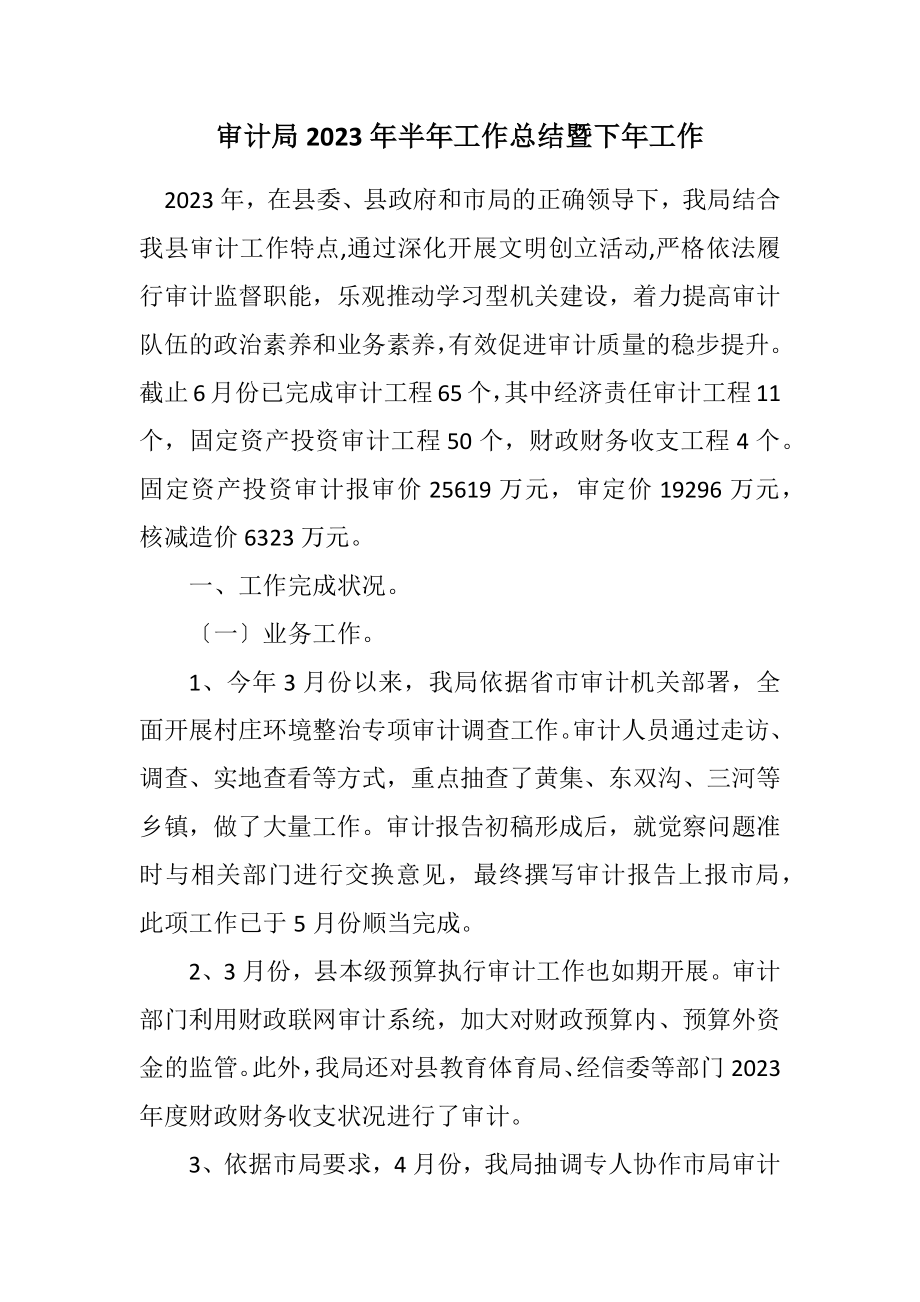 2023年审计局2023年半年工作总结暨下年工作计划.docx_第1页