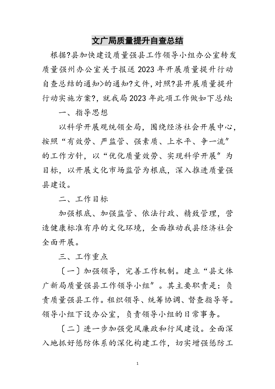 2023年文广局质量提升自查总结范文.doc_第1页