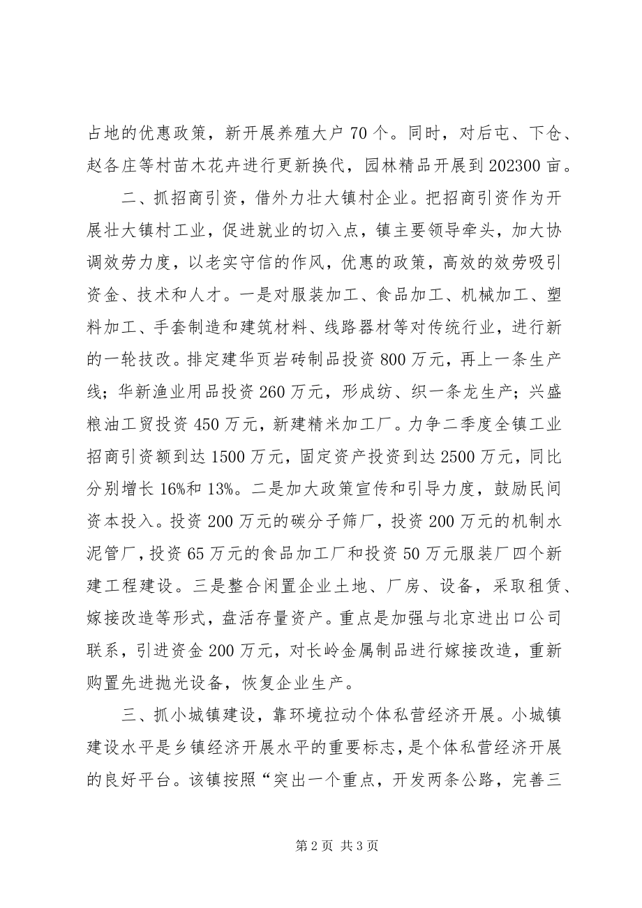 2023年乡镇第二季度经济计划.docx_第2页