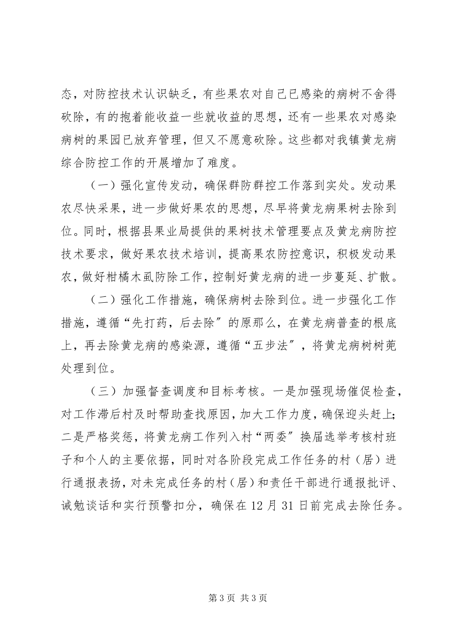 2023年柑橘黄龙病防控经验总结.docx_第3页