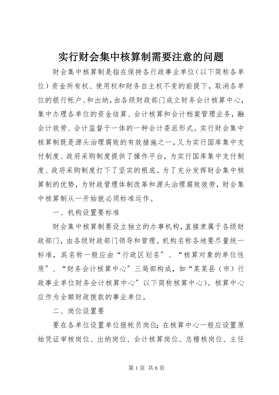 2023年实行财会集中核算制需要注意的问题.docx_第1页