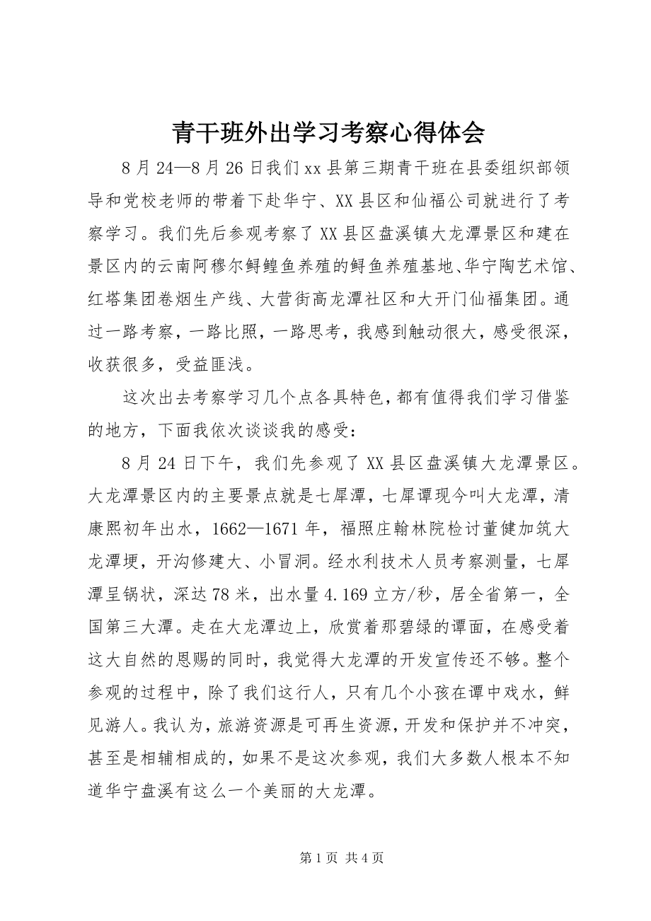 2023年青干班外出学习考察心得体会.docx_第1页