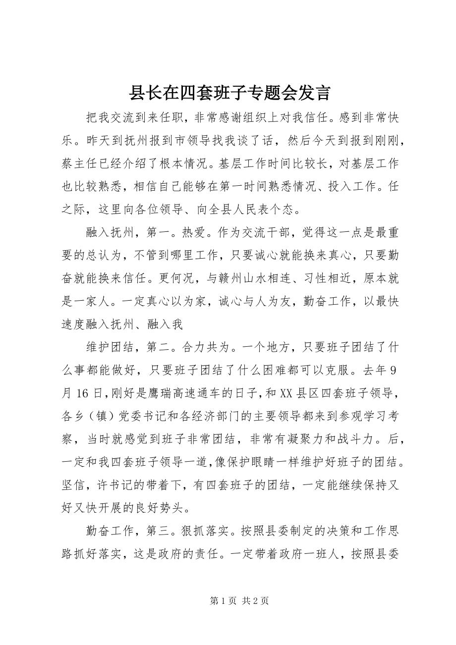 2023年县长在四套班子专题会讲话.docx_第1页