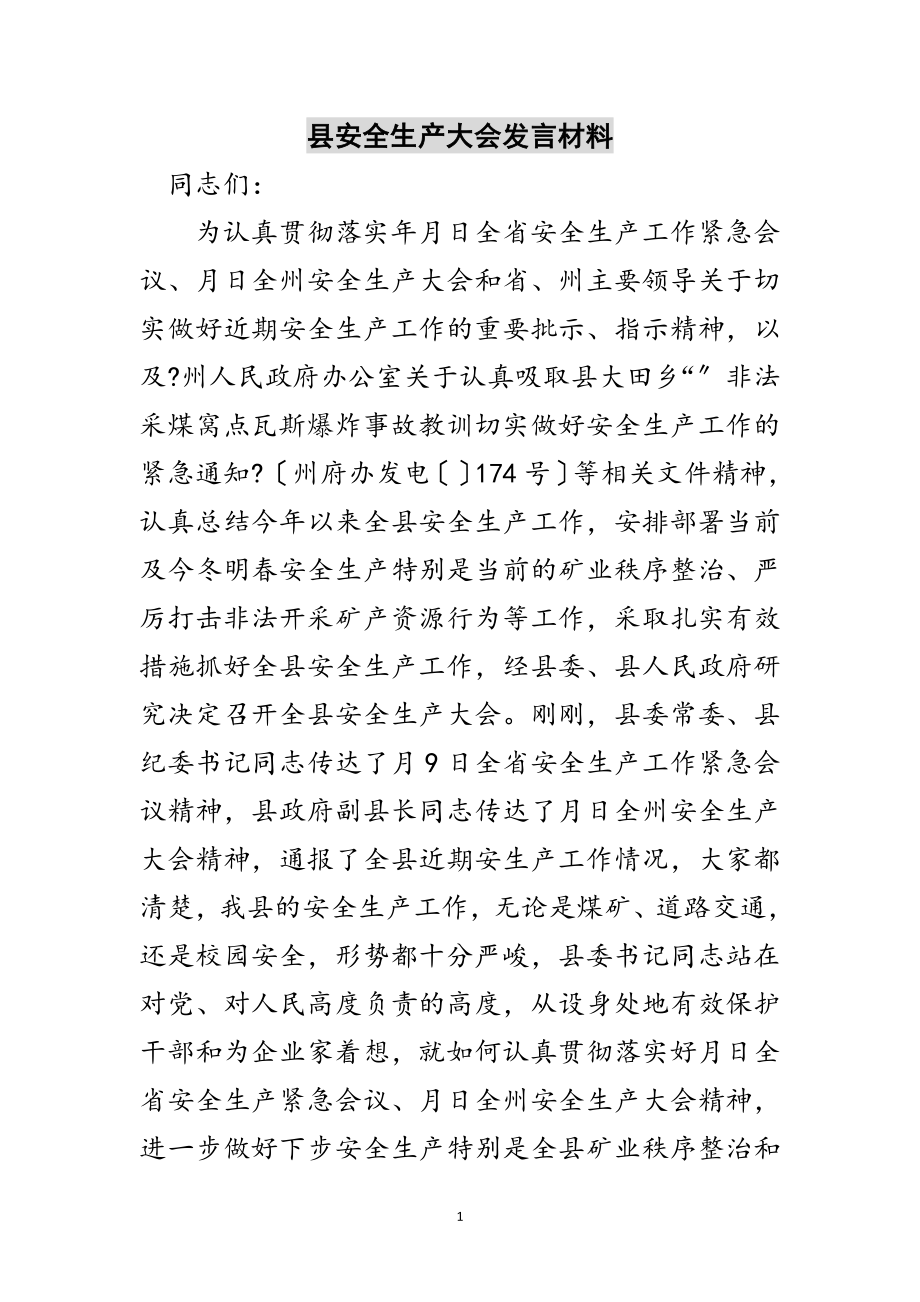 2023年县安全生产大会发言材料范文.doc_第1页