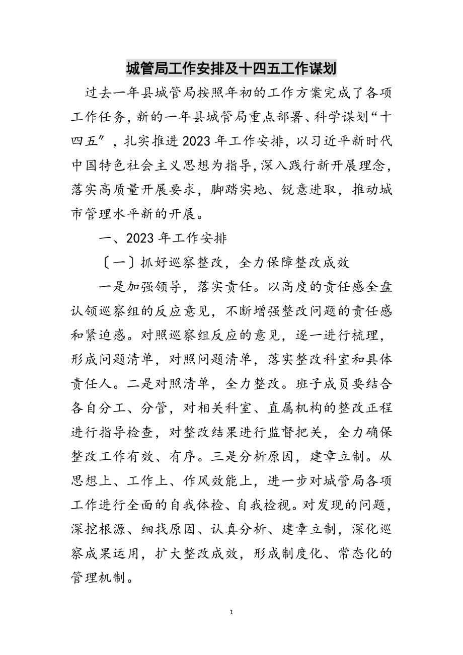 2023年城管局工作安排及十四五工作谋划范文.doc_第1页