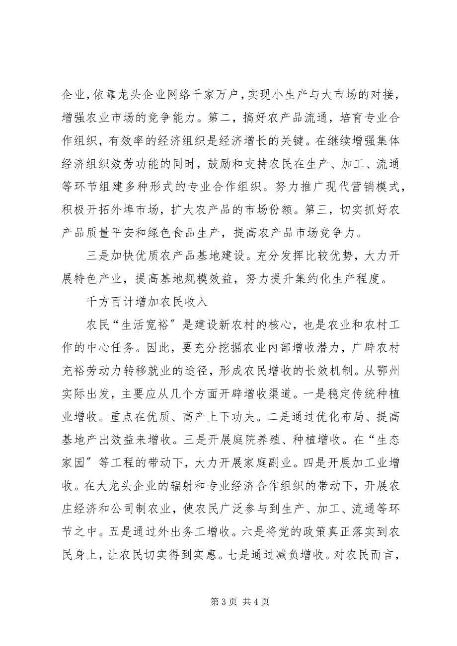 2023年理念谋划新农村建设思考.docx_第3页