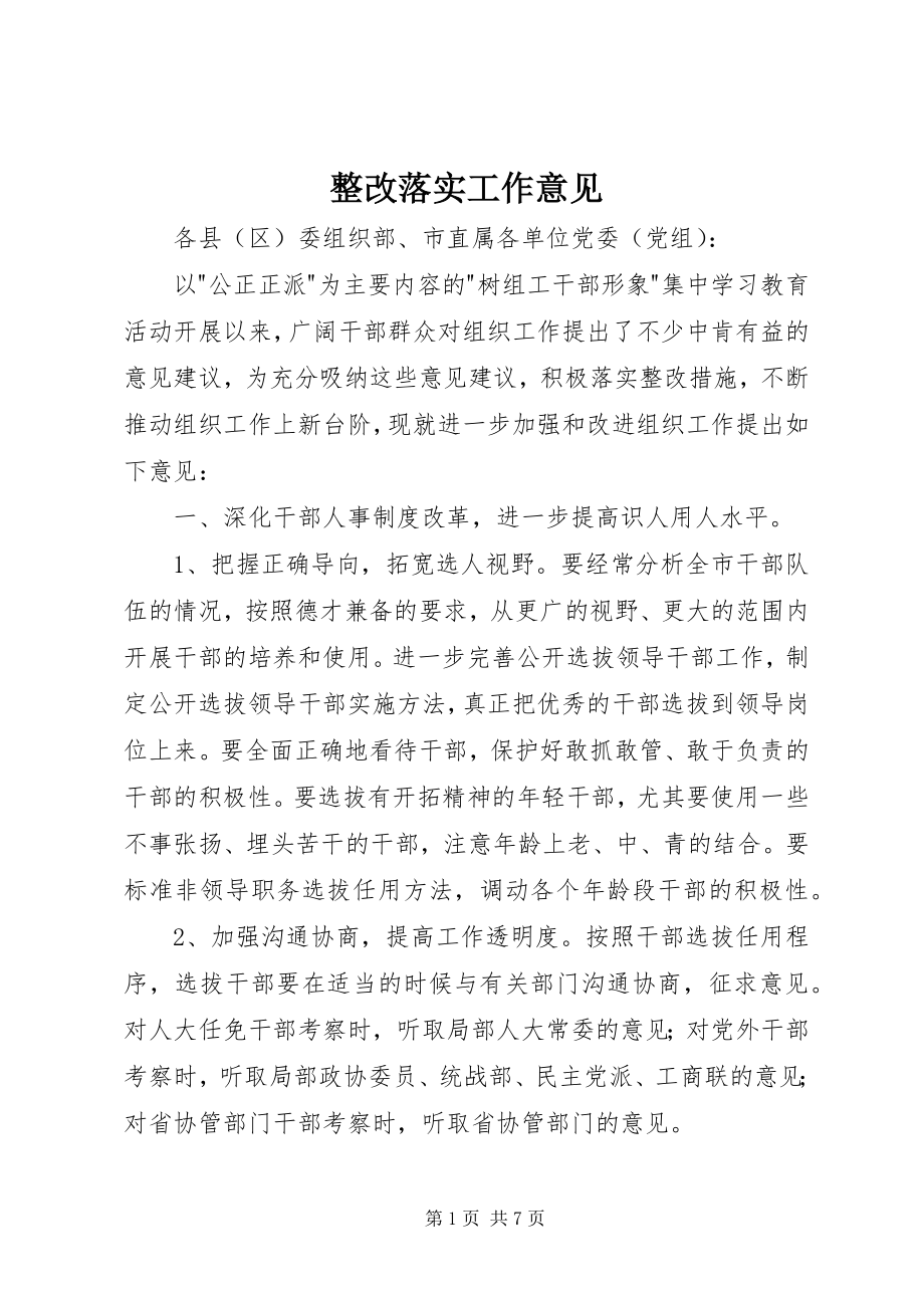 2023年整改落实工作意见.docx_第1页