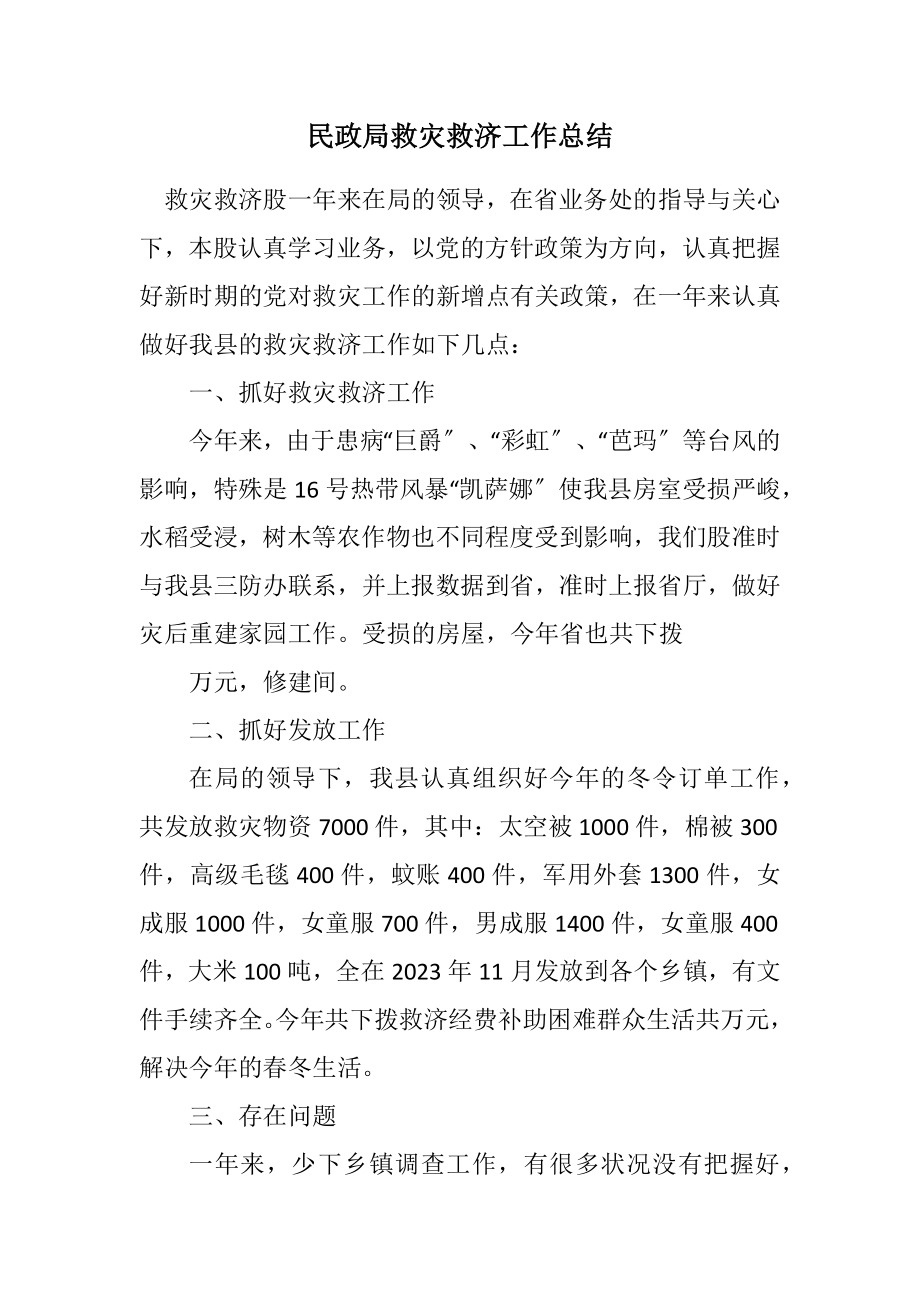 2023年民政局救灾救济工作总结.docx_第1页