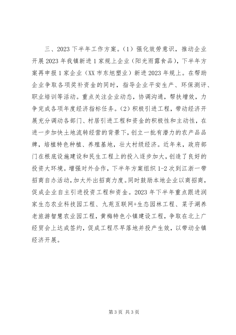 2023年乡镇上半年经济工作总结暨下半年工作计划.docx_第3页