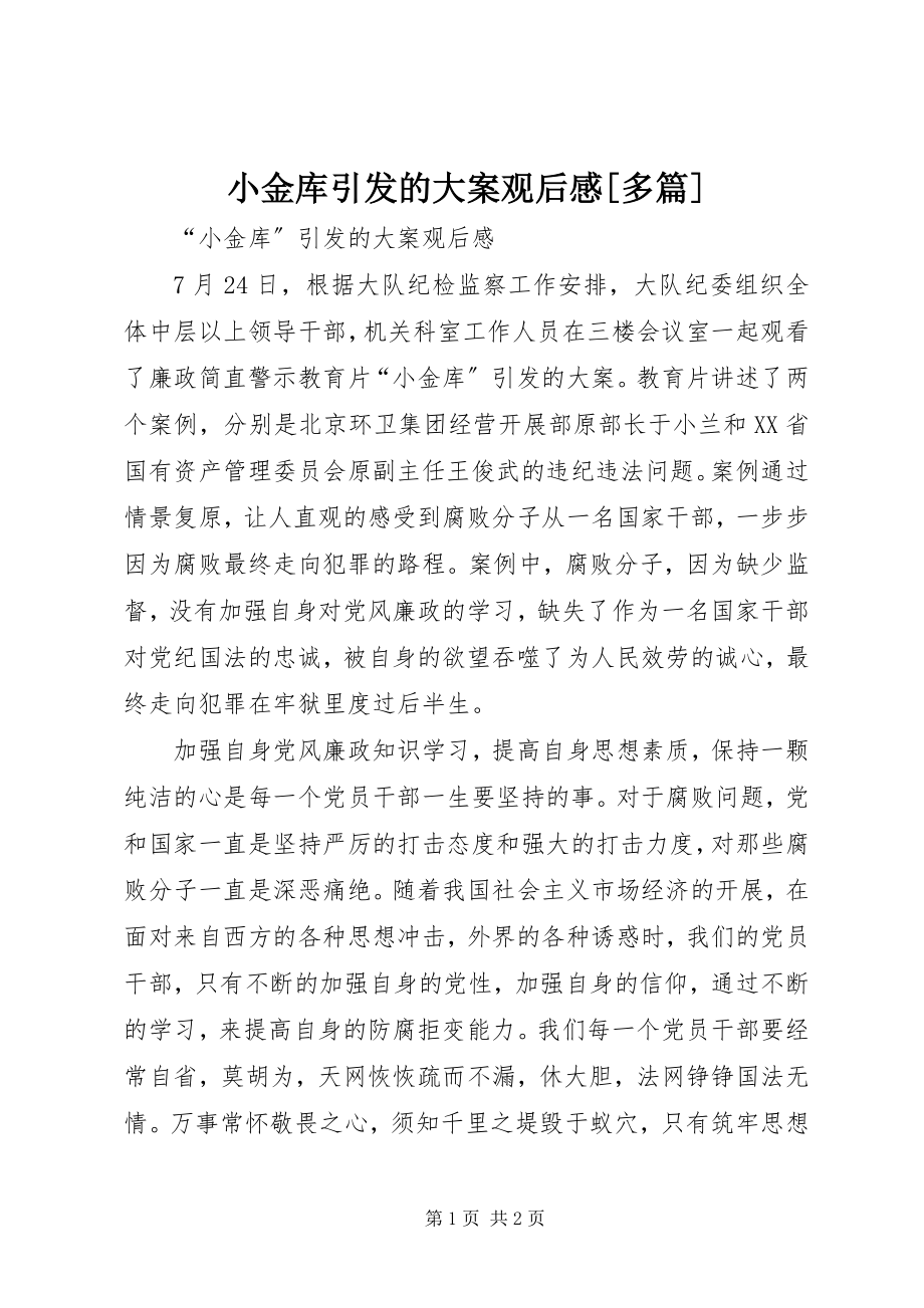 2023年小金库引发的大案观后感多篇.docx_第1页