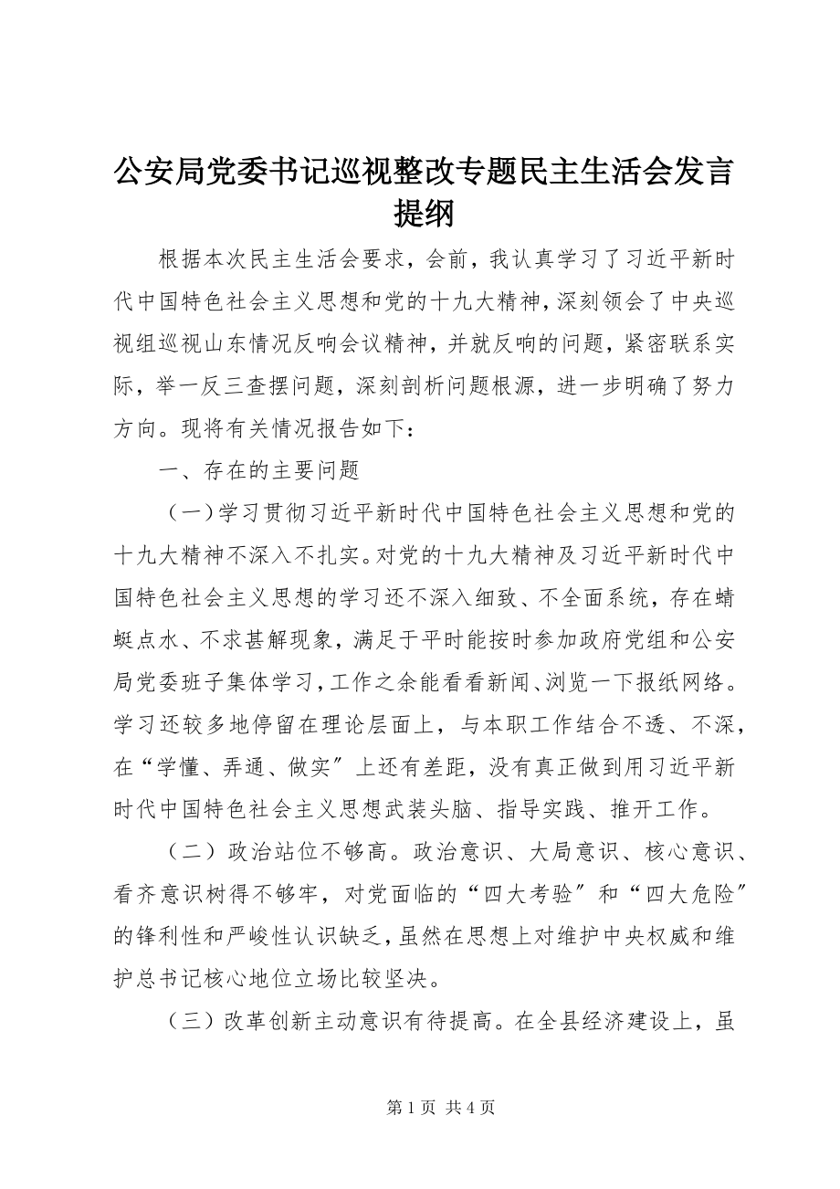 2023年公安局党委书记巡视整改专题民主生活会讲话提纲.docx_第1页