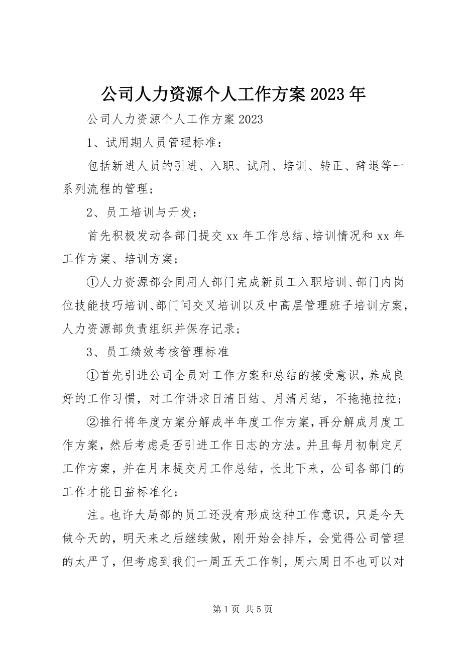 2023年公司人力资源个人工作计划某年.docx_第1页