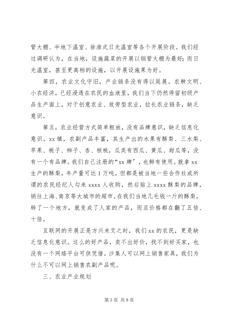 2023年镇农业发展规划.docx_第3页