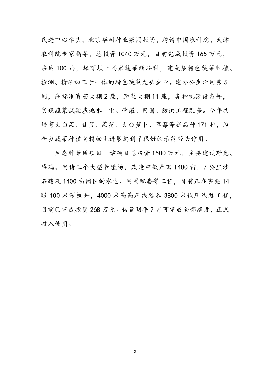 2023年乡镇项目建设总结.docx_第2页