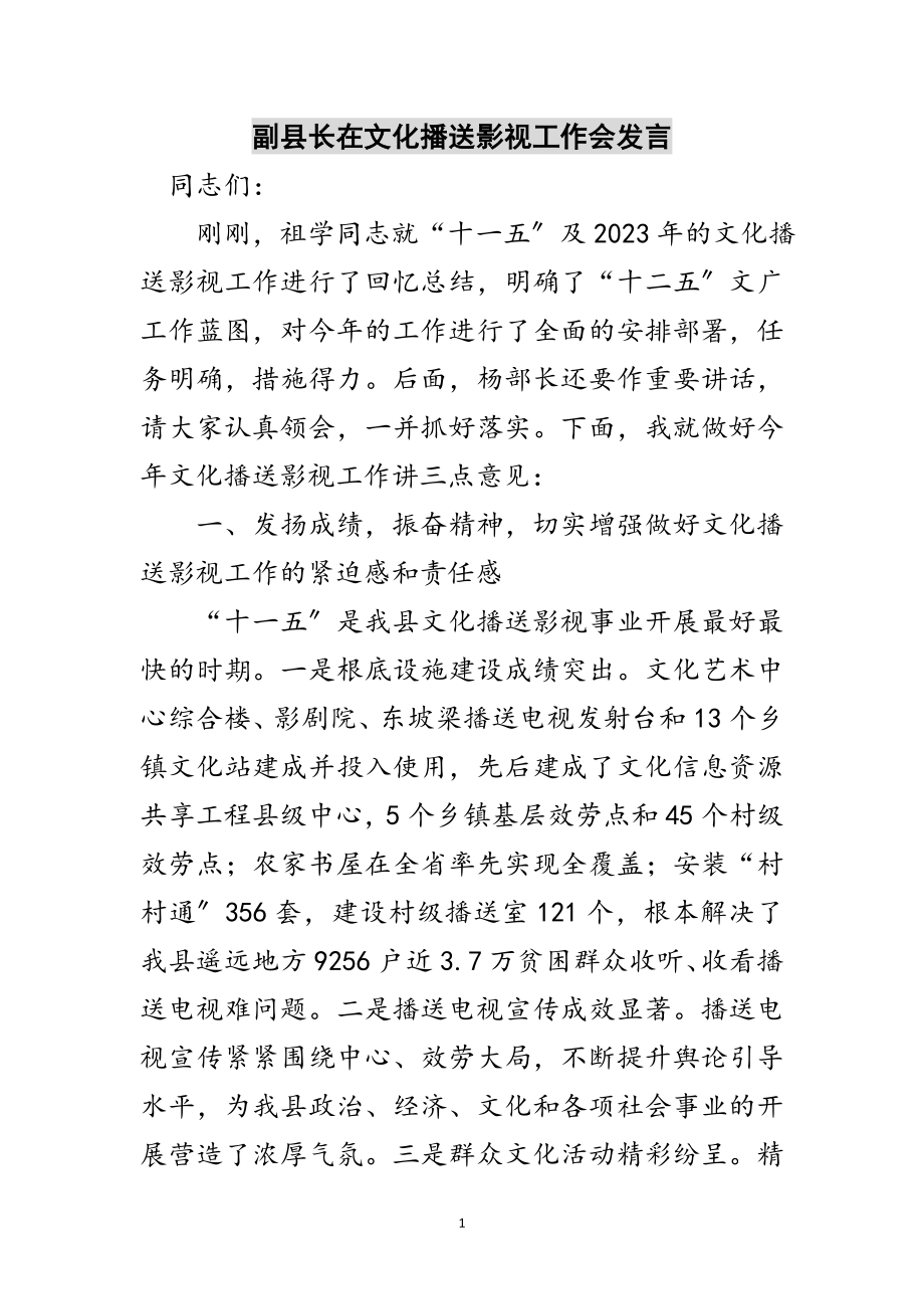 2023年副县长在文化广播影视工作会发言范文.doc_第1页