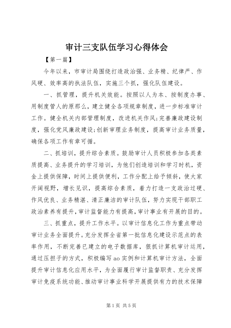 2023年审计三支队伍学习心得体会.docx_第1页