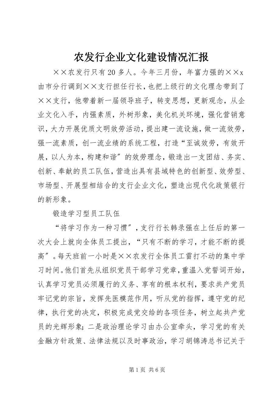 2023年农发行企业文化建设情况汇报.docx_第1页