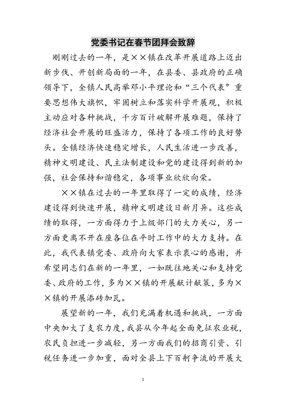 2023年党委书记在春节团拜会致辞范文.doc_第1页